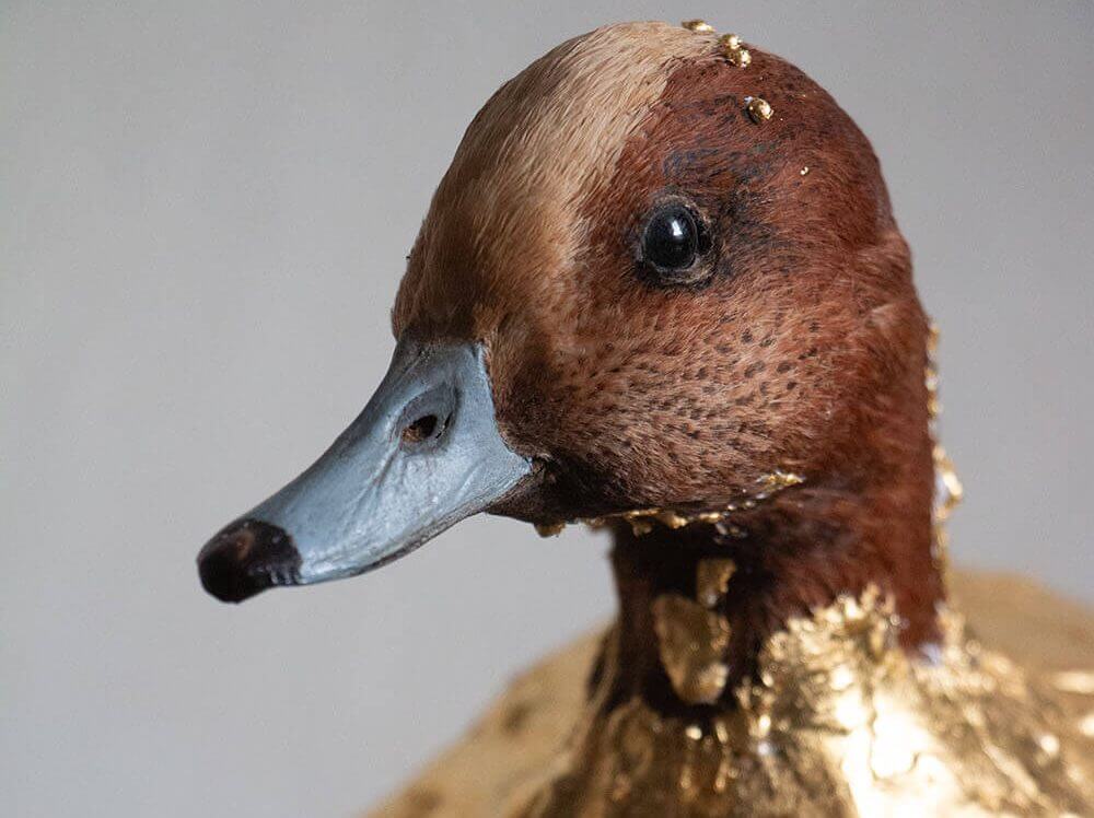 Vandali uničili umetniško instalacijo v jezuitski cerkvi na Dunaju